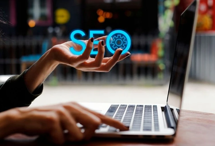 Doğanyurt Web Site Tasarımcı